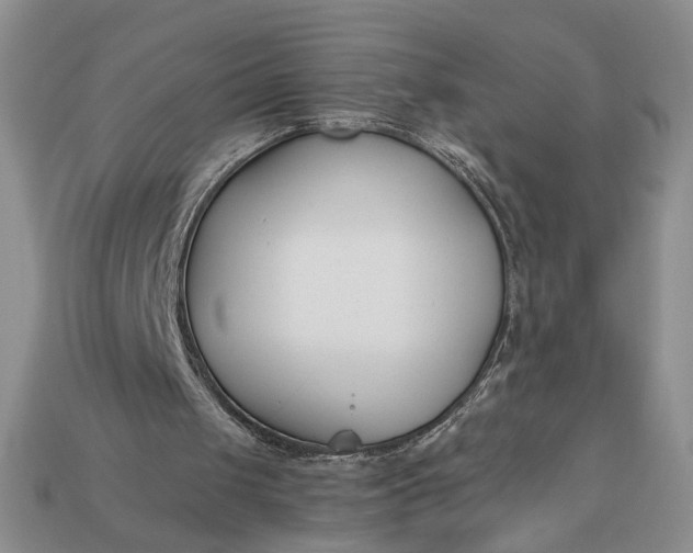 X0000113360049200909291038