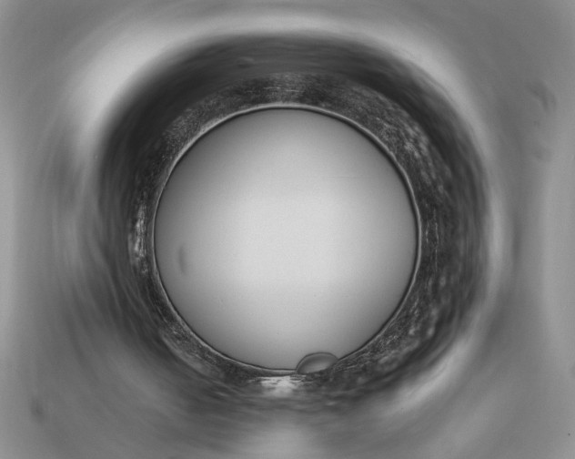 X0000113360050200909291038