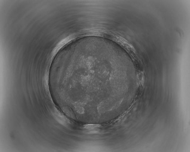 X0000113360051200909291038