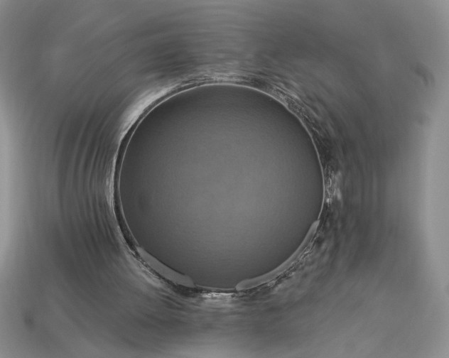 X0000113360052200909291038