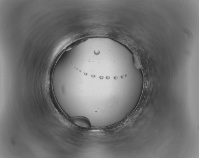 X0000113360053200909291038