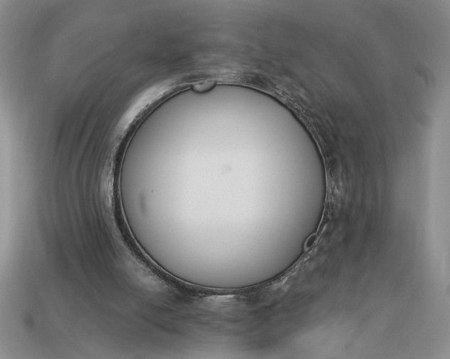 X0000113360054200909291038