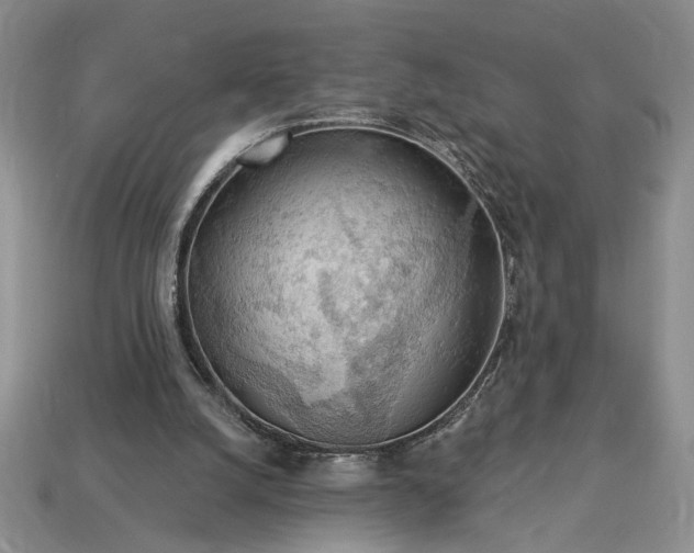 X0000113360056200909291038