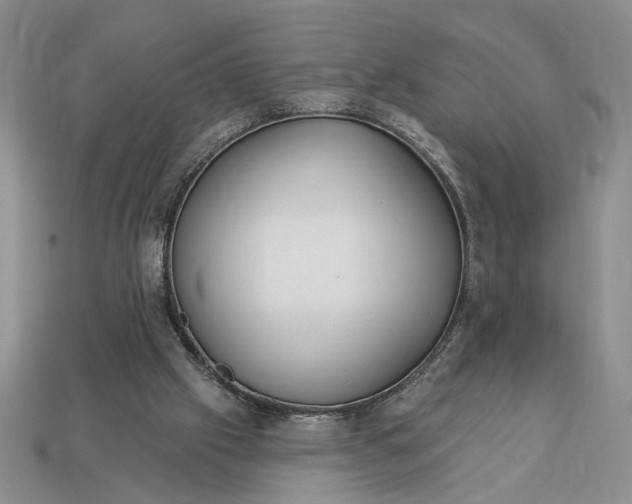 X0000113360057200909291038