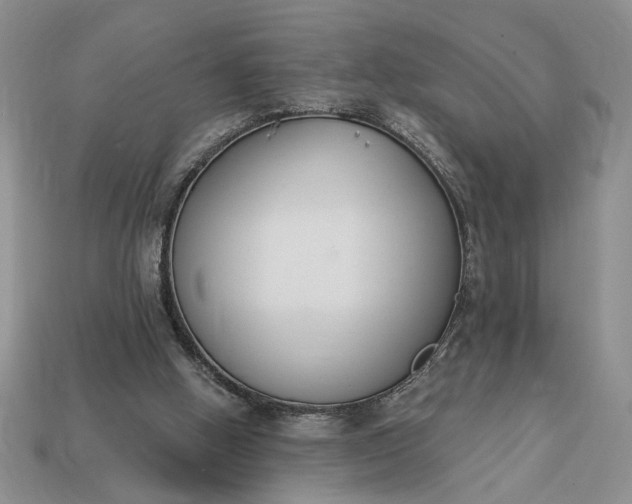 X0000113360058200909291039