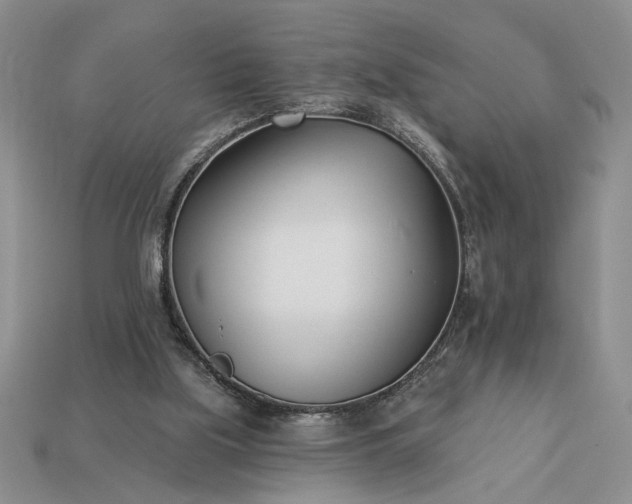 X0000113360059200909291039