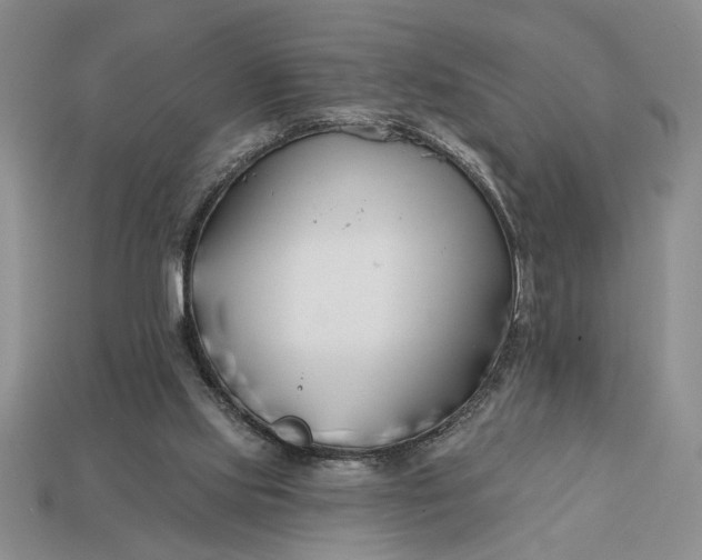 X0000113360061200909291039