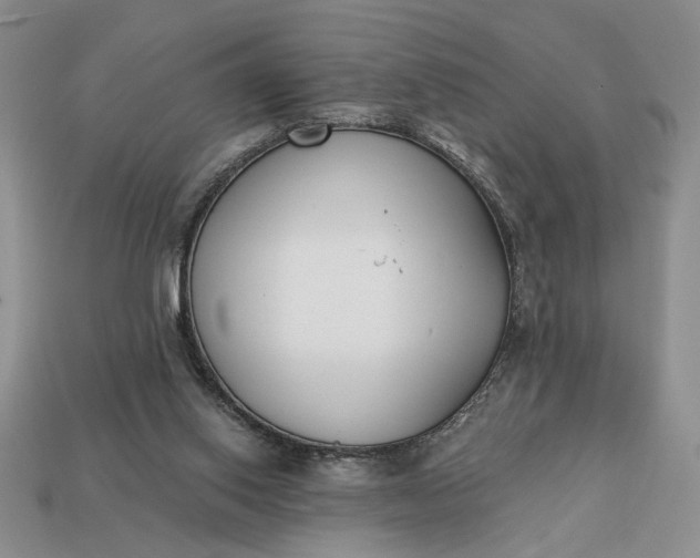 X0000113360062200909291039