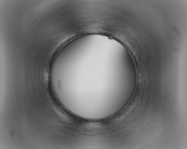 X0000113360063200909291039