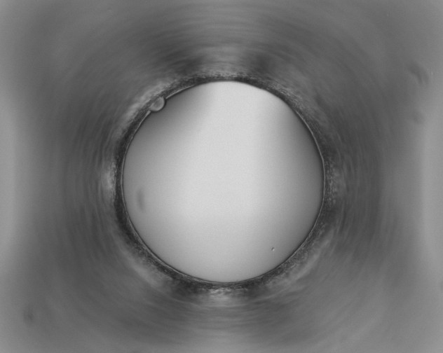 X0000113360064200909291039