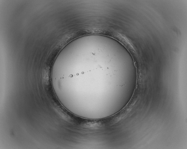 X0000113360065200909291039