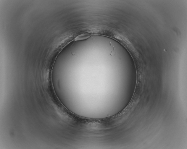 X0000113360066200909291039