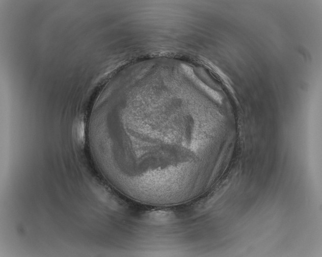 X0000113360067200909291039