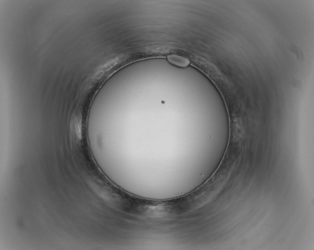 X0000113360068200909291039