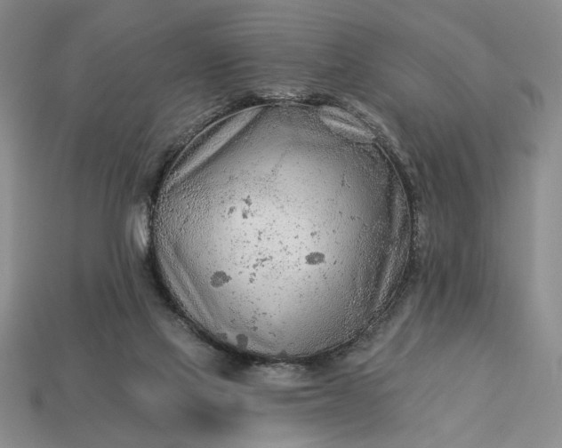 X0000113360069200909291039