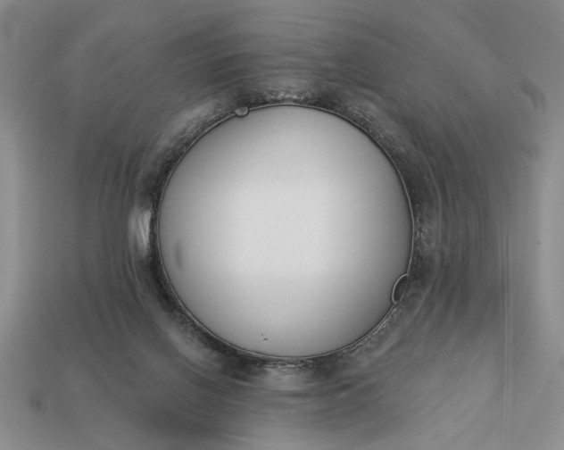 X0000113360070200909291039