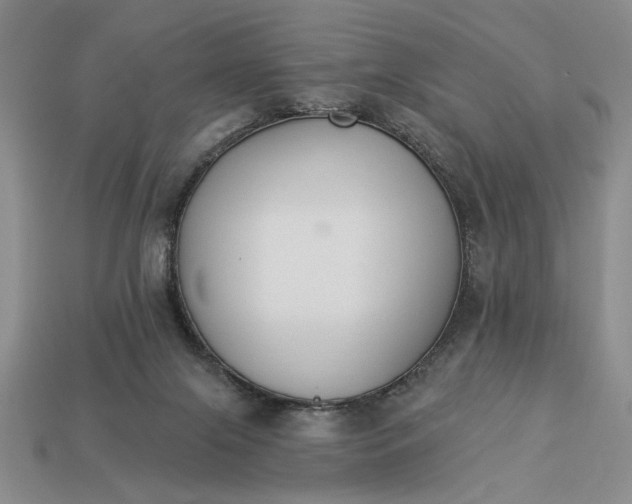 X0000113360071200909291039