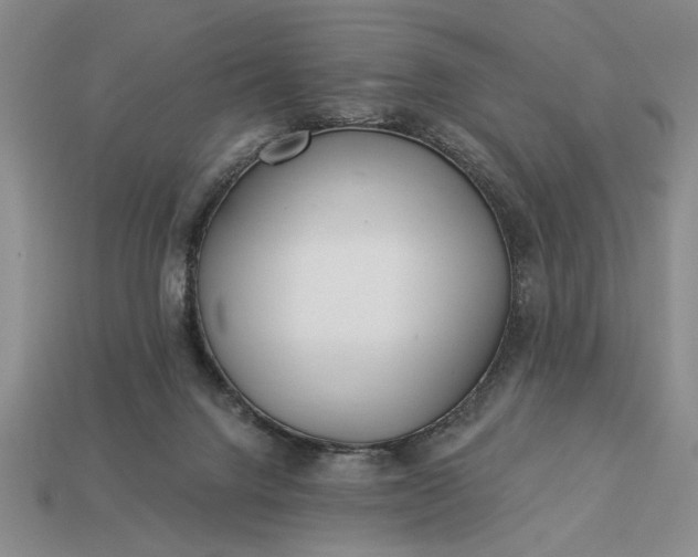 X0000113360072200909291039