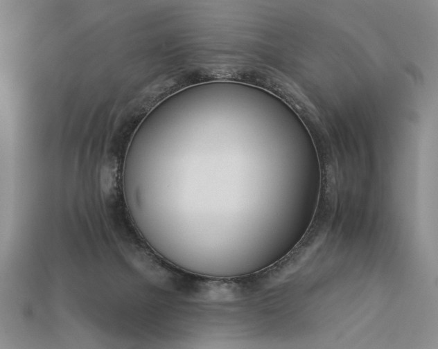 X0000113360073200909291039