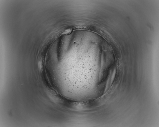 X0000113360074200909291039