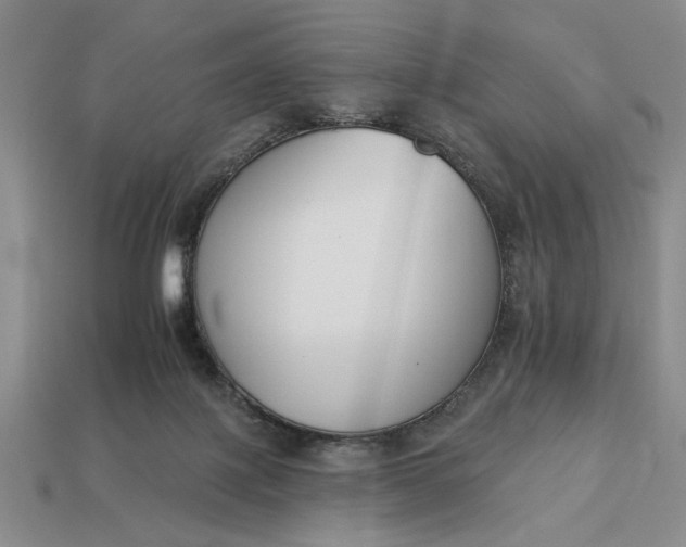 X0000113360075200909291039