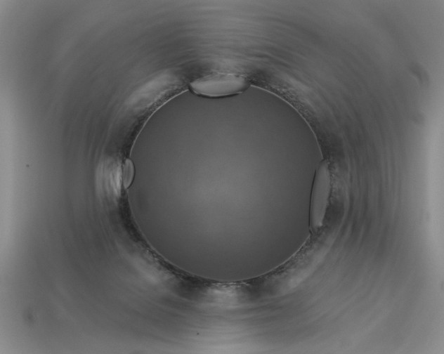 X0000113360076200909291039