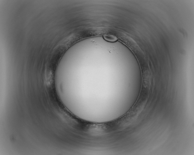 X0000113360077200909291039