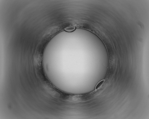 X0000113360078200909291039