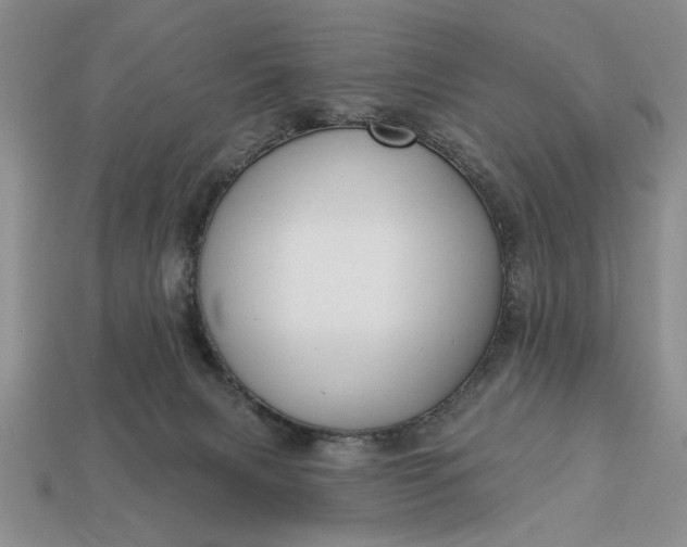 X0000113360079200909291039