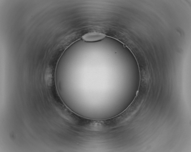 X0000113360080200909291039