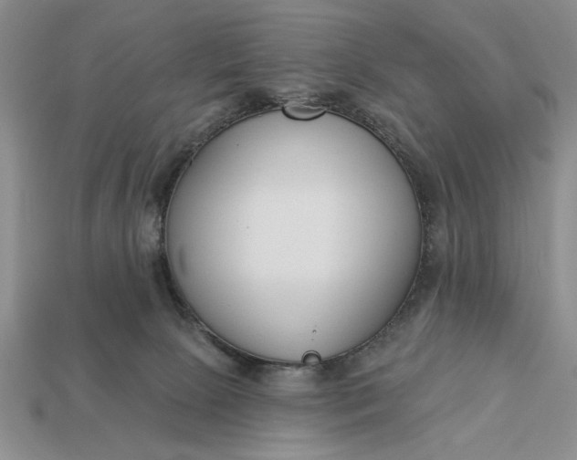 X0000113360081200909291039