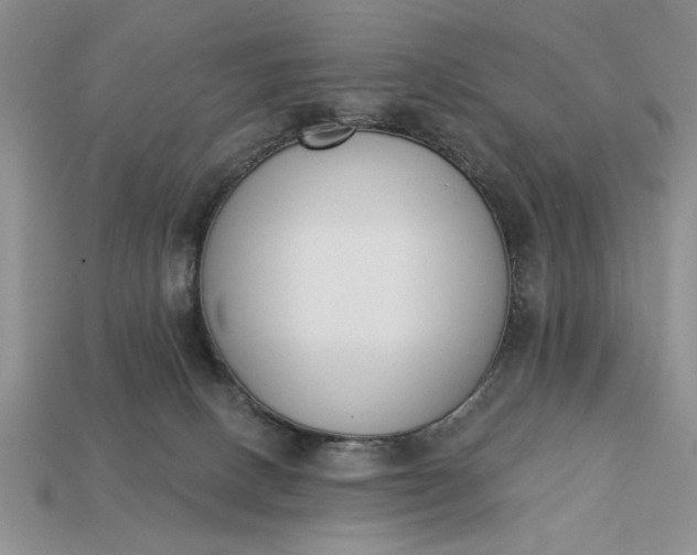 X0000113360082200909291039