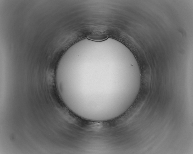 X0000113360083200909291039