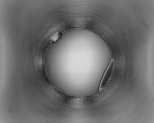 X0000113360084200909291039