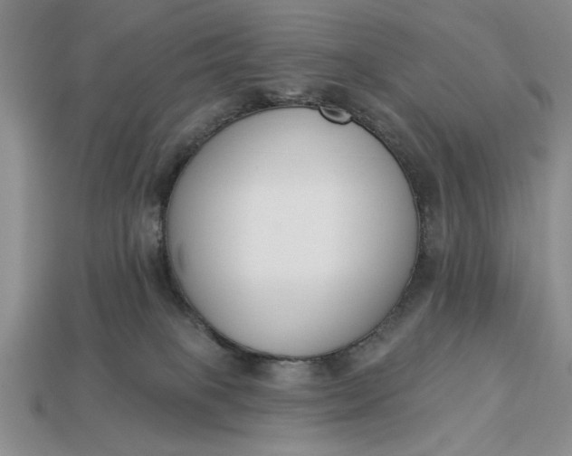 X0000113360085200909291039