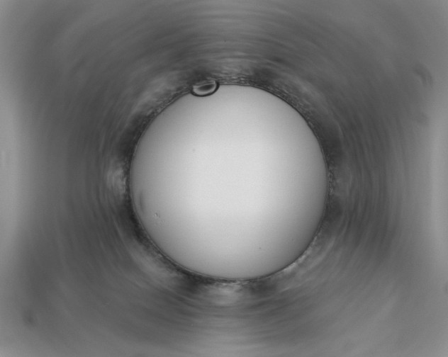 X0000113360086200909291039