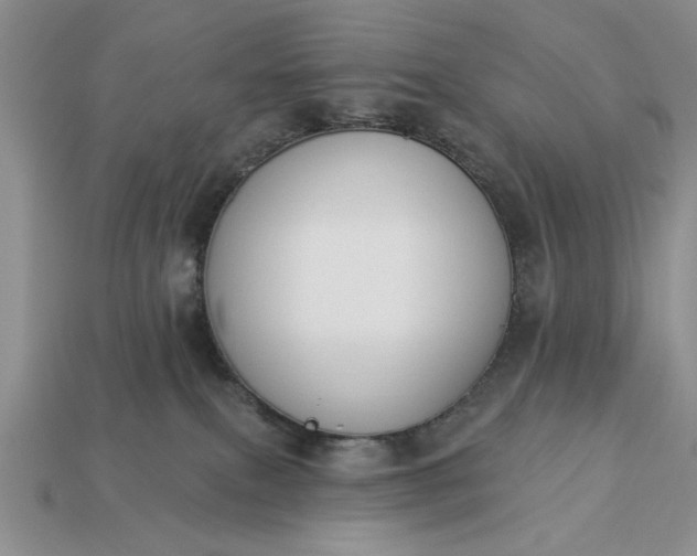 X0000113360087200909291039