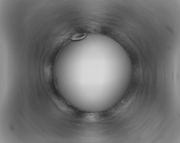 X0000113360088200909291039