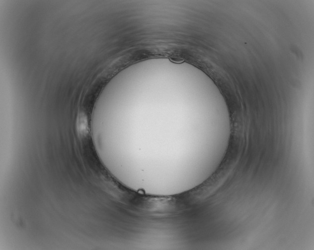 X0000113360089200909291039