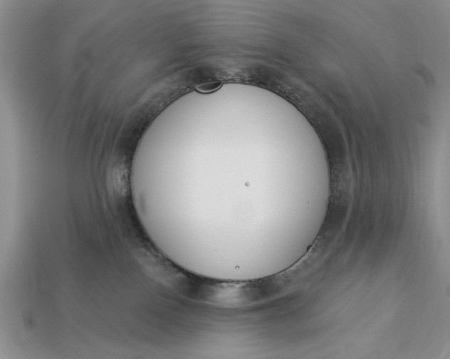 X0000113360090200909291039