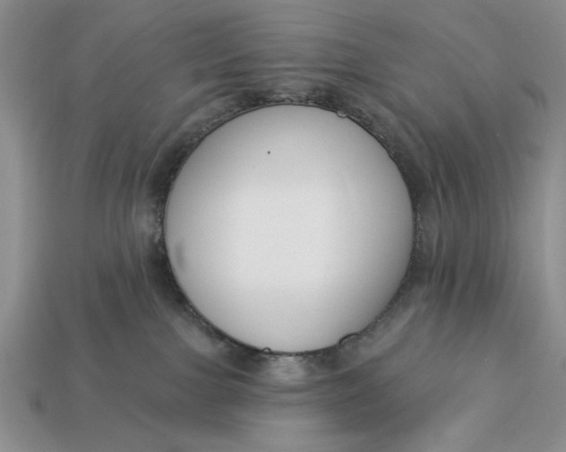 X0000113360091200909291039