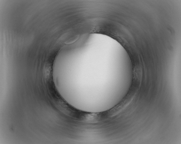 X0000113360092200909291039