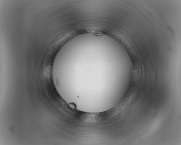 X0000113360093200909291039