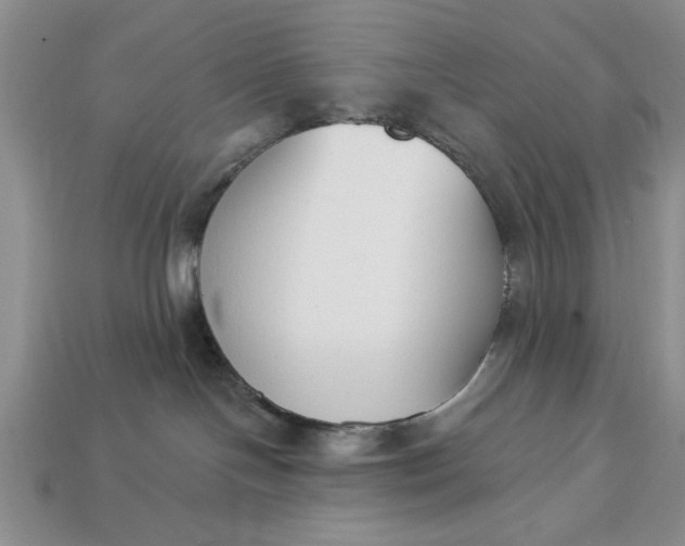 X0000113360094200909291039