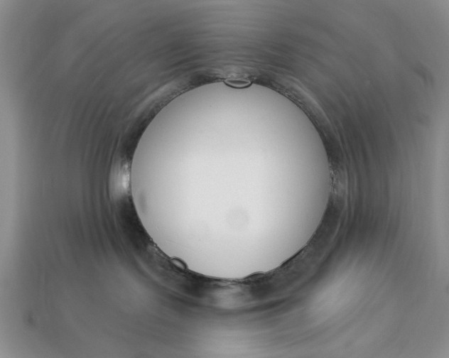 X0000113360095200909291039