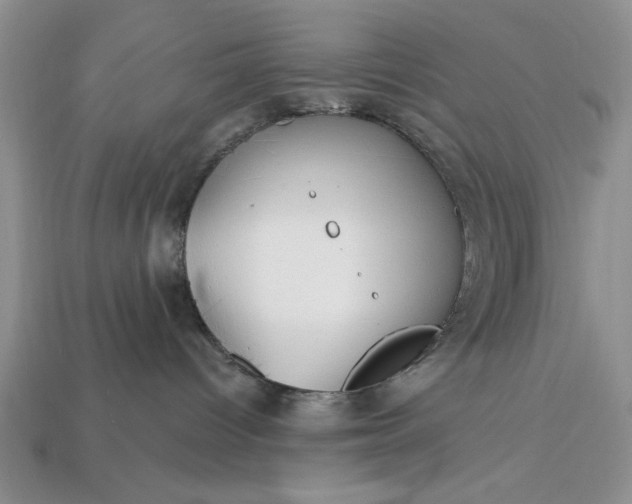 X0000113360096200909291039