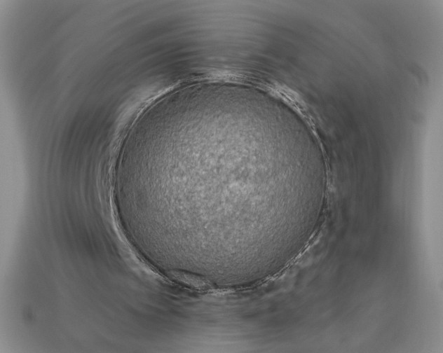 X0000113360097200909291038