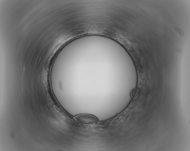 X0000113360098200909291038