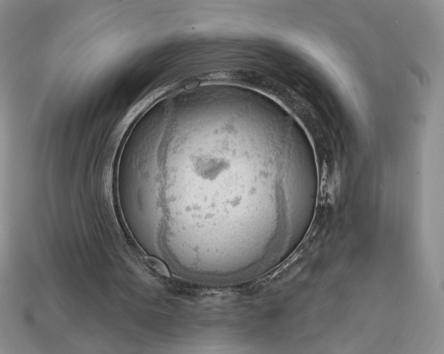 X0000113360099200909291038