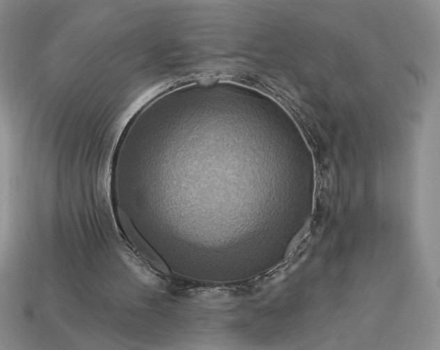 X0000113360100200909291038